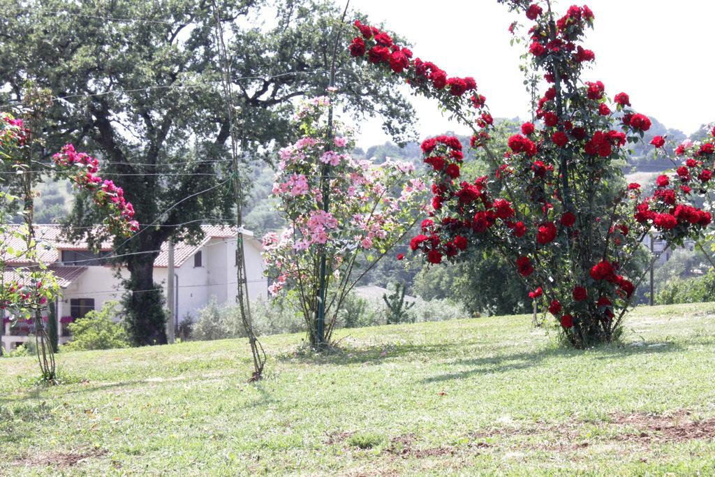 Agriturismo Nociquerceto Tarano Eksteriør bilde